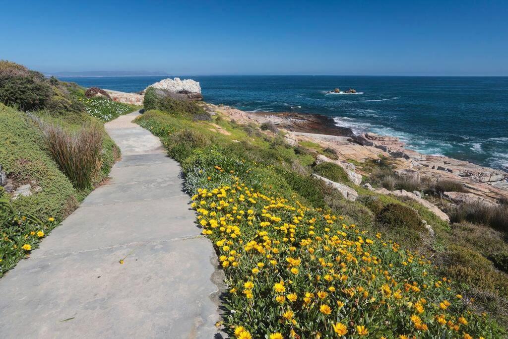 Mountain And Sea Cottage Hermanus Exteriér fotografie