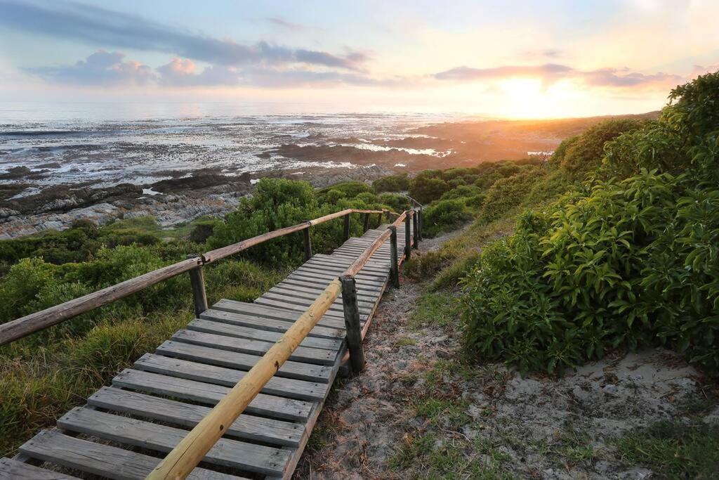 Mountain And Sea Cottage Hermanus Exteriér fotografie